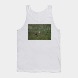 6217 ibis Tank Top